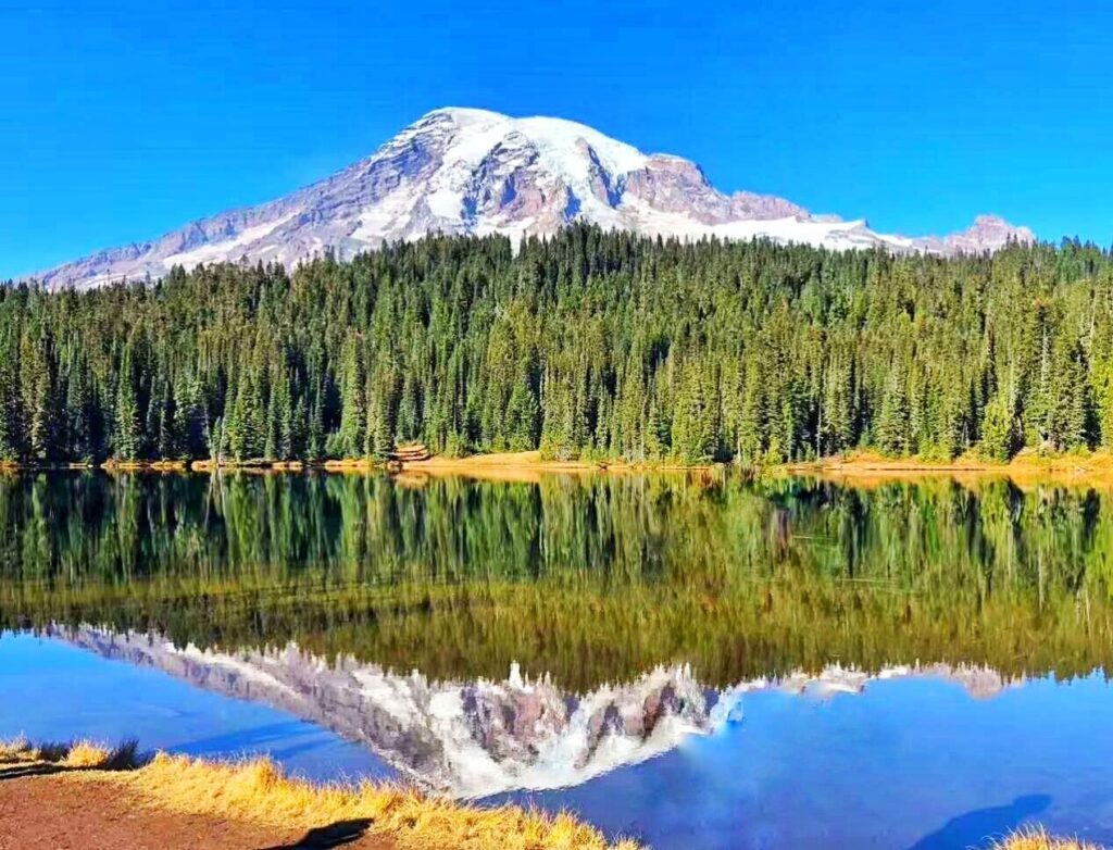 Best of Mount Rainier National Park from Seattle: All-Inclusive Small-Group Tour