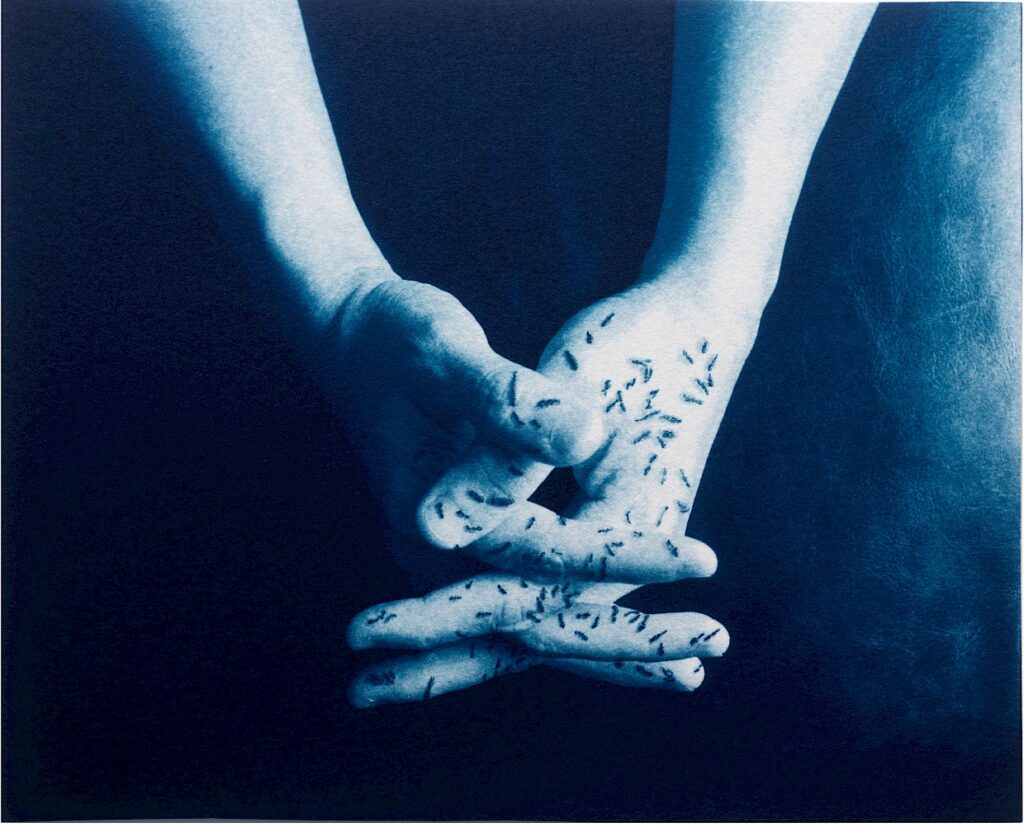 4 Myths That People Often Have About Jungian Psychoanalysis